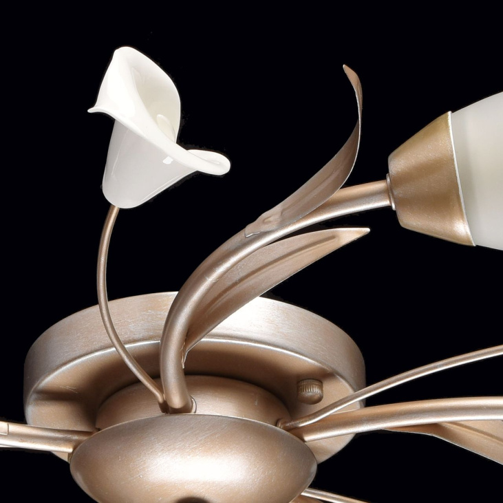 картинка Потолочный светильник Восторг 242016205