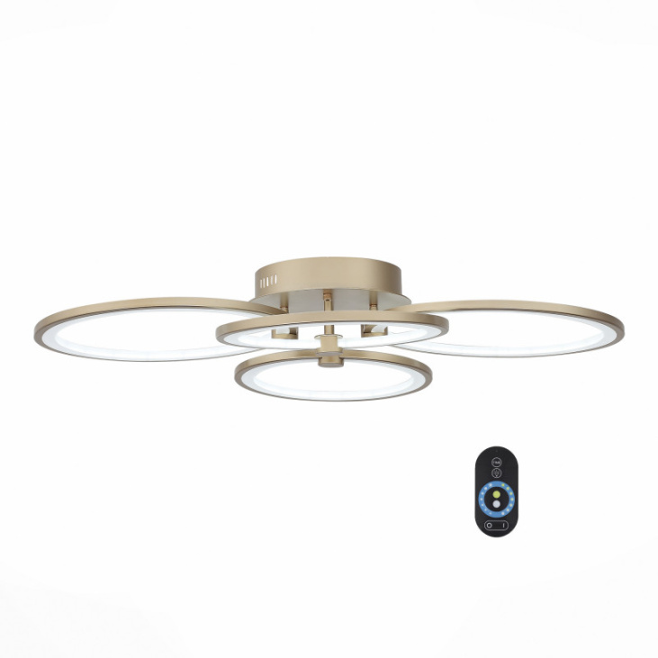 картинка Накладной светильник SL867.202.04