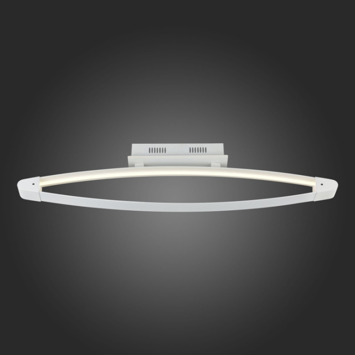 картинка Накладной светильник SL920.102.01