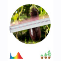 картинка Фитосветильник LLED-05-T5-FITO-14W-W