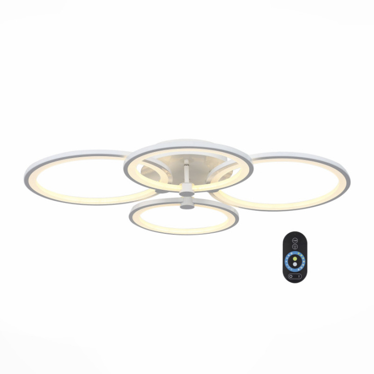 картинка Накладной светильник SL867.502.04